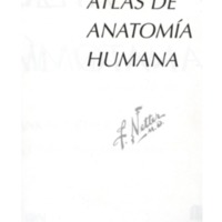 NETTER ATLAS Bueno.pdf